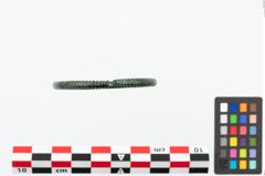 Foto von Bronzearmreif (NHMW-PRAE-025290)
